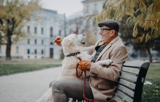 Vorteile von Haustieren für Senioren im Alltag