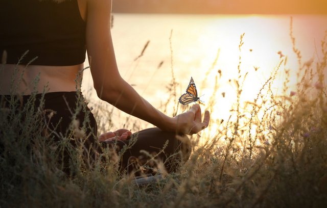 Holistische Heilung: Die Kraft der ganzheitlichen Gesundheit 