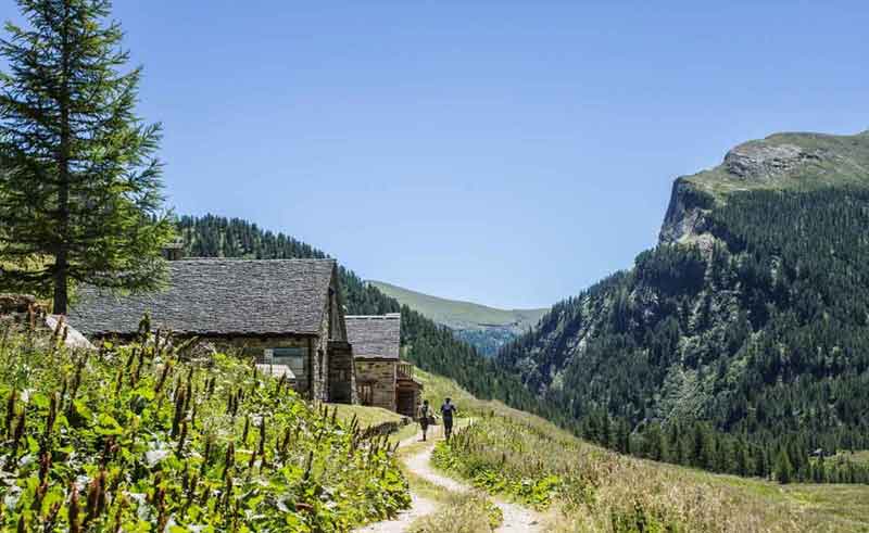 San Domenico Ski Blumenweg