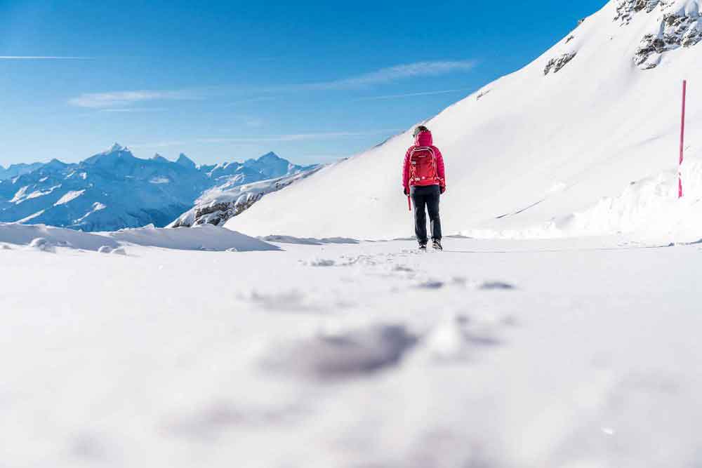 Lauchneralp