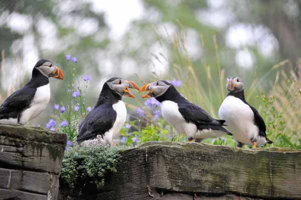 Tierpark Dählhölzli